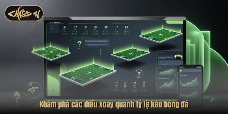 Khám phá các điều xoay quanh tỷ lệ kèo bóng đá