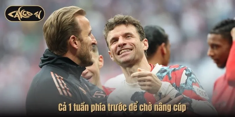 Cả 1 tuần phía trước để chờ nâng cúp